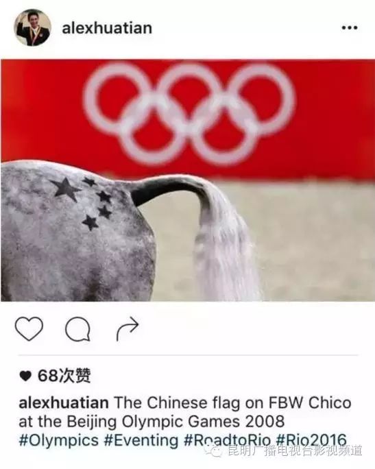 纹身的奥运冠军_纹身游泳奥运冠军图片_游泳奥运冠军纹身图